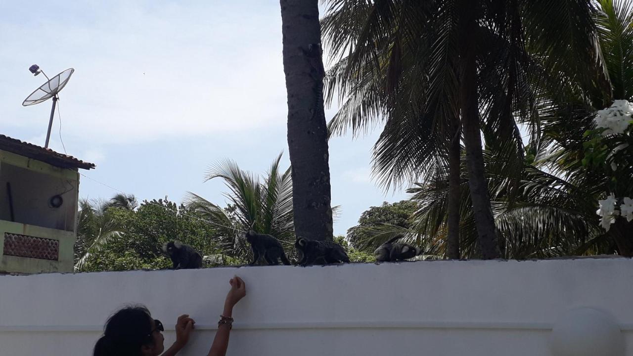 Pousada Caribe Nordestino Tamandaré Eksteriør bilde