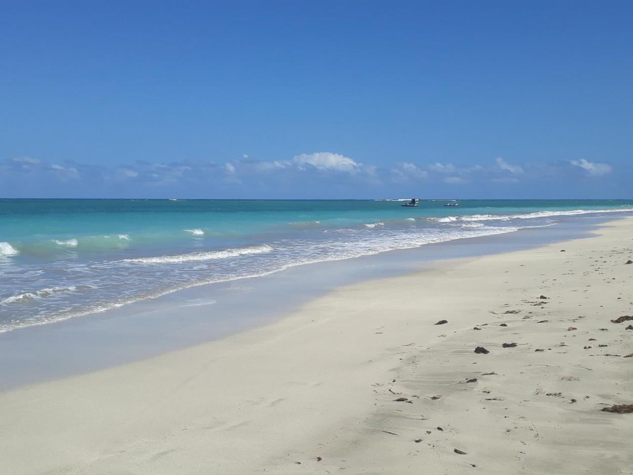Pousada Caribe Nordestino Tamandaré Eksteriør bilde