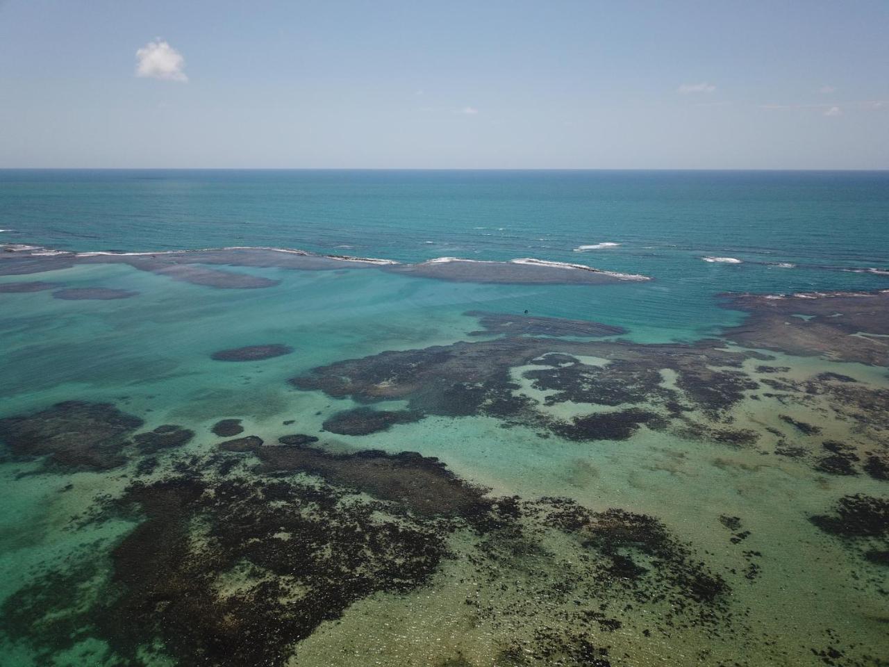 Pousada Caribe Nordestino Tamandaré Eksteriør bilde